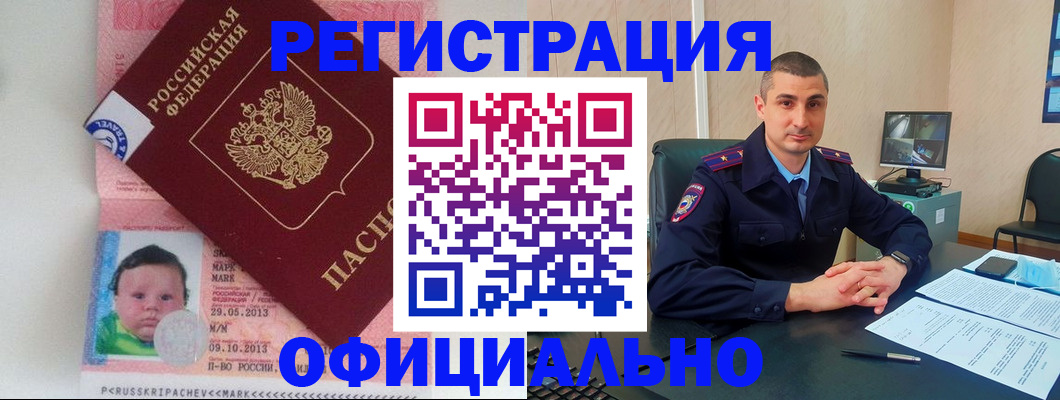 прописка поиск в Светогорске